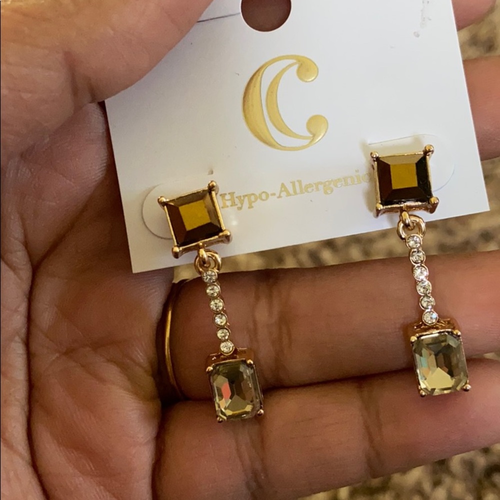 Stone dangle earrings
